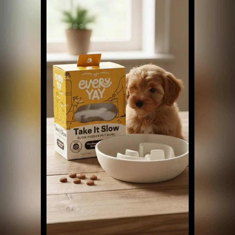 EveryYay Interactive Slow Feeder — Anti-Gulp Bowl for Cats, Dogs & Small Animals